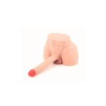 Torso realista Para hombre y Mujer