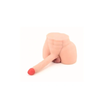 Torso realista Para hombre y Mujer