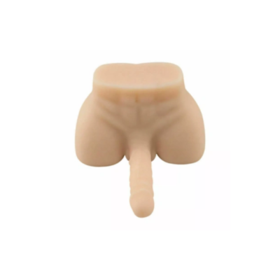 Torso realista Para hombre y Mujer