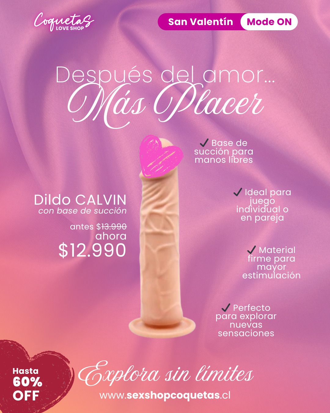 WhatsApp Image 2026 02 11 at 12.12.55 PM