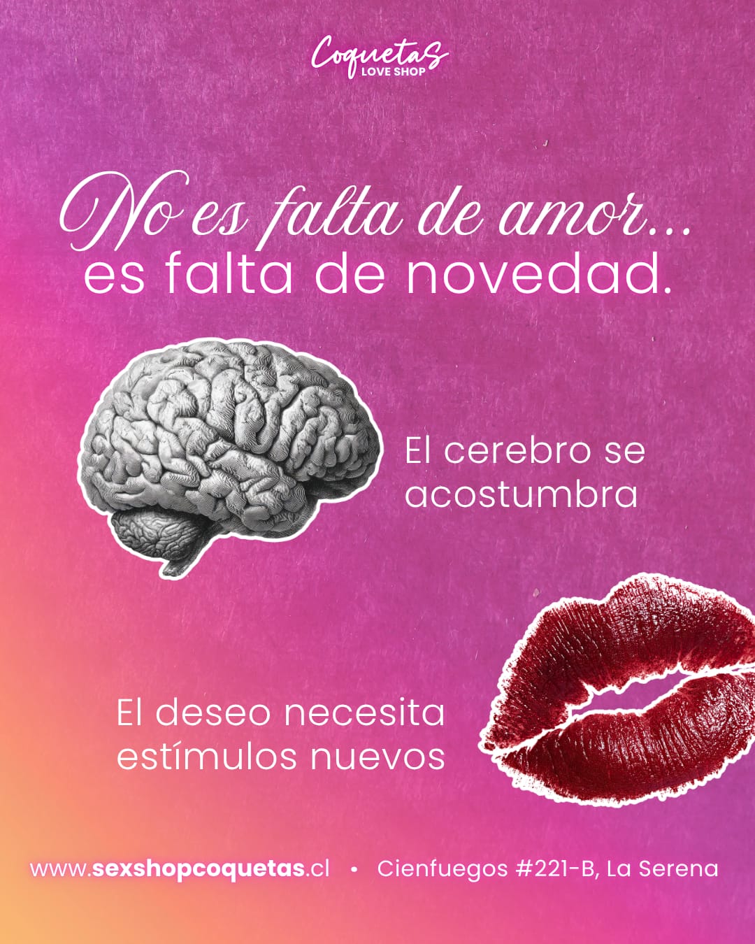 WhatsApp Image 2026-04-14 at 4.59.03 PM